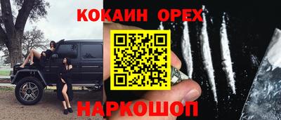индика Дубна