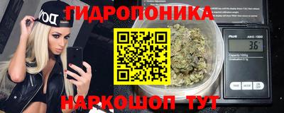 индика Дубна