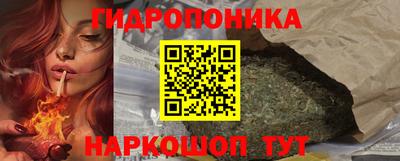 индика Дубна