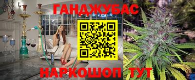 индика Дубна