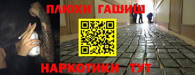 индика Дубна