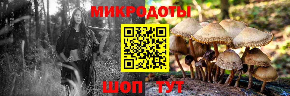 Кохма  Псилоцибиновые грибы прущие грибы  Вход с VPN 